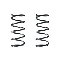 Fahrwerksfeder-Set SPIDAN für FIAT 500 C