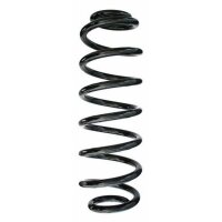 Fahrwerksfeder-Set SPIDAN für VW PASSAT B6