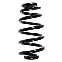 Fahrwerksfeder-Set hinten Schraubenfeder 287mm SPIDAN...