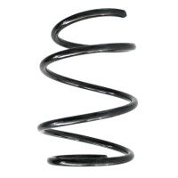 Suspension spring set front coil spring 255mm SPIDAN for...