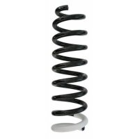 Fahrwerksfeder-Set hinten Schraubenfeder 328mm SPIDAN...