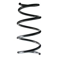 Fahrwerksfeder-Set vorne Schraubenfeder 318mm SPIDAN...
