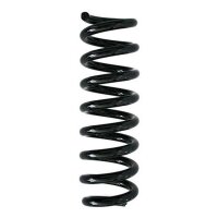 Fahrwerksfeder-Set hinten Schraubenfeder 311mm SPIDAN...