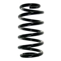 Fahrwerksfeder-Set vorne Schraubenfeder 269mm SPIDAN...