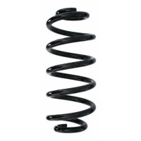 Fahrwerksfeder-Set hinten Schraubenfeder 258mm SPIDAN...