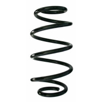Fahrwerksfeder-Set hinten Schraubenfeder 281mm SPIDAN...