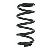 Fahrwerksfeder-Set hinten Schraubenfeder 254mm SPIDAN...
