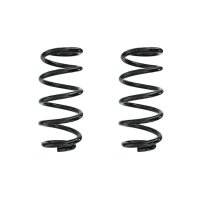 Suspension spring set rear coil spring 254mm SPIDAN for...