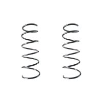 Suspension spring set front coil spring 390mm SPIDAN for...
