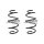 Fahrwerksfedern-Set vorne Schraubenfeder 307mm SPIDAN für u.a. VW PASSAT B8