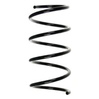 Fahrwerksfeder-Set vorne Schraubenfeder 304mm SPIDAN...