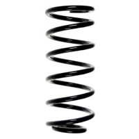 Fahrwerksfeder-Set hinten Schraubenfeder 262mm SPIDAN...