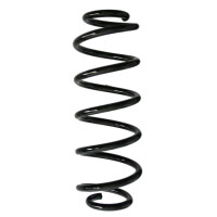 Fahrwerksfedern-Set hinten Schraubenfeder 313mm SPIDAN...