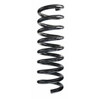 Fahrwerksfeder-Set hinten Schraubenfeder 314mm SPIDAN...