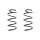 Fahrwerksfeder-Set vorne Schraubenfeder 313mm SPIDAN für OPEL CORSA E