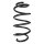 Suspension spring set front coil spring 309mm SPIDAN for VW PASSAT B6