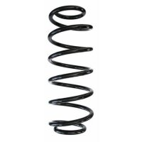 Fahrwerksfeder-Set hinten Schraubenfeder 316mm SPIDAN...