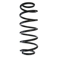 Fahrwerksfedern-Set hinten Schraubenfeder 316mm SPIDAN...