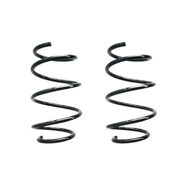 Fahrwerksfeder-Set vorne Schraubenfeder 310mm SPIDAN für BMW 3 (E46)