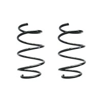 Fahrwerksfeder-Set vorne Schraubenfeder 310mm SPIDAN...