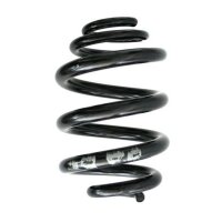 Fahrwerksfeder-Set hinten Schraubenfeder 261mm SPIDAN...