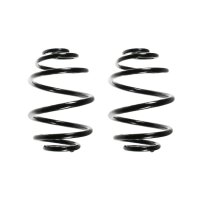 Fahrwerksfeder-Set hinten Schraubenfeder 220mm SPIDAN...