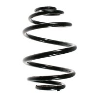 Fahrwerksfeder-Set hinten Schraubenfeder 220mm SPIDAN...