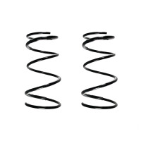 Fahrwerksfedern-Set vorne Schraubenfeder 362mm SPIDAN...