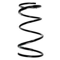 Fahrwerksfedern-Set vorne Schraubenfeder 362mm SPIDAN...