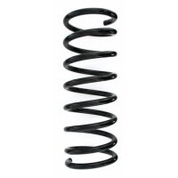 Fahrwerksfeder-Set hinten Schraubenfeder 332mm SPIDAN...