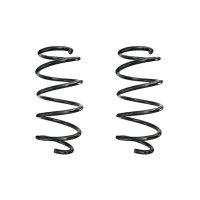 Fahrwerksfeder-Set vorne Schraubenfeder 306mm SPIDAN...