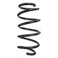 Fahrwerksfeder-Set vorne Schraubenfeder 306mm SPIDAN...