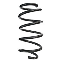 Fahrwerksfedern-Set vorne Schraubenfeder 306mm SPIDAN...