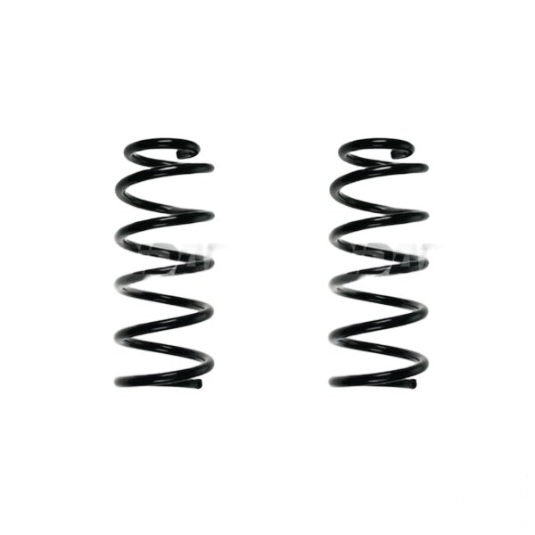 Fahrwerksfeder-Set hinten Schraubenfeder 307mm SPIDAN für VW PASSAT B5.5