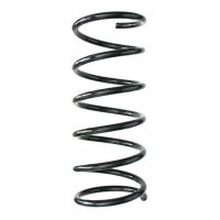 Fahrwerksfeder-Set hinten Schraubenfeder 292mm SPIDAN...