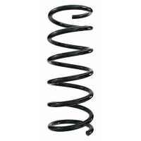 Fahrwerksfeder-Set hinten Schraubenfeder 348mm SPIDAN...