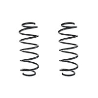 Suspension spring set rear coil spring 306mm SPIDAN for...