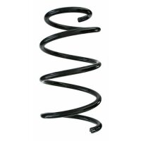 Fahrwerksfeder-Set hinten Schraubenfeder 278mm SPIDAN...