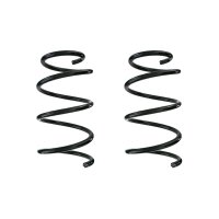 Suspension spring set rear coil spring 278mm SPIDAN for...