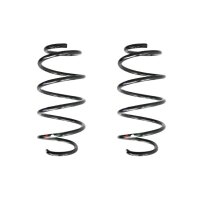 Fahrwerksfeder-Set vorne Schraubenfeder 308mm SPIDAN...