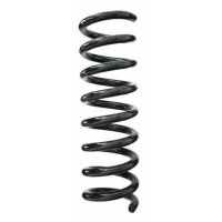 Fahrwerksfeder-Set hinten Schraubenfeder 323mm SPIDAN...