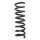 Fahrwerksfeder-Set hinten Schraubenfeder 323mm SPIDAN für MERCEDES C-KLASSE W204