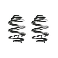Fahrwerksfeder-Set SPIDAN für VW MULTIVAN T6