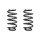Suspension spring set front coil spring 273mm SPIDAN for AUDI A4 B6