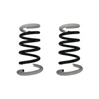 Fahrwerksfeder-Set hinten Schraubenfeder 325mm mit...
