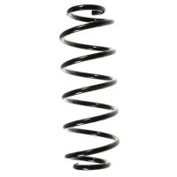 Fahrwerksfeder-Set hinten Schraubenfeder 316mm SPIDAN...
