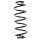 Fahrwerksfeder-Set hinten Schraubenfeder 316mm SPIDAN für VW GOLF IV