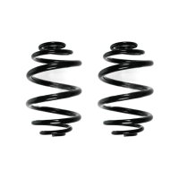 Fahrwerksfeder-Set hinten Schraubenfeder 233mm SPIDAN...