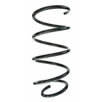 Fahrwerksfeder-Set vorne Schraubenfeder 313mm SPIDAN...