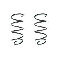 Suspension spring set front coil spring 313mm SPIDAN for...